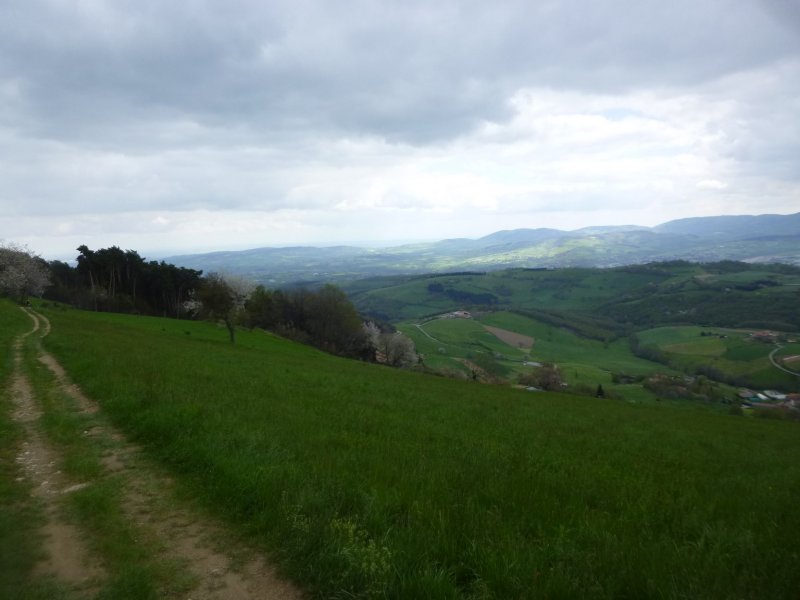 Rando des Badrais - St Didier Sous Riverie - 24 avril 2016